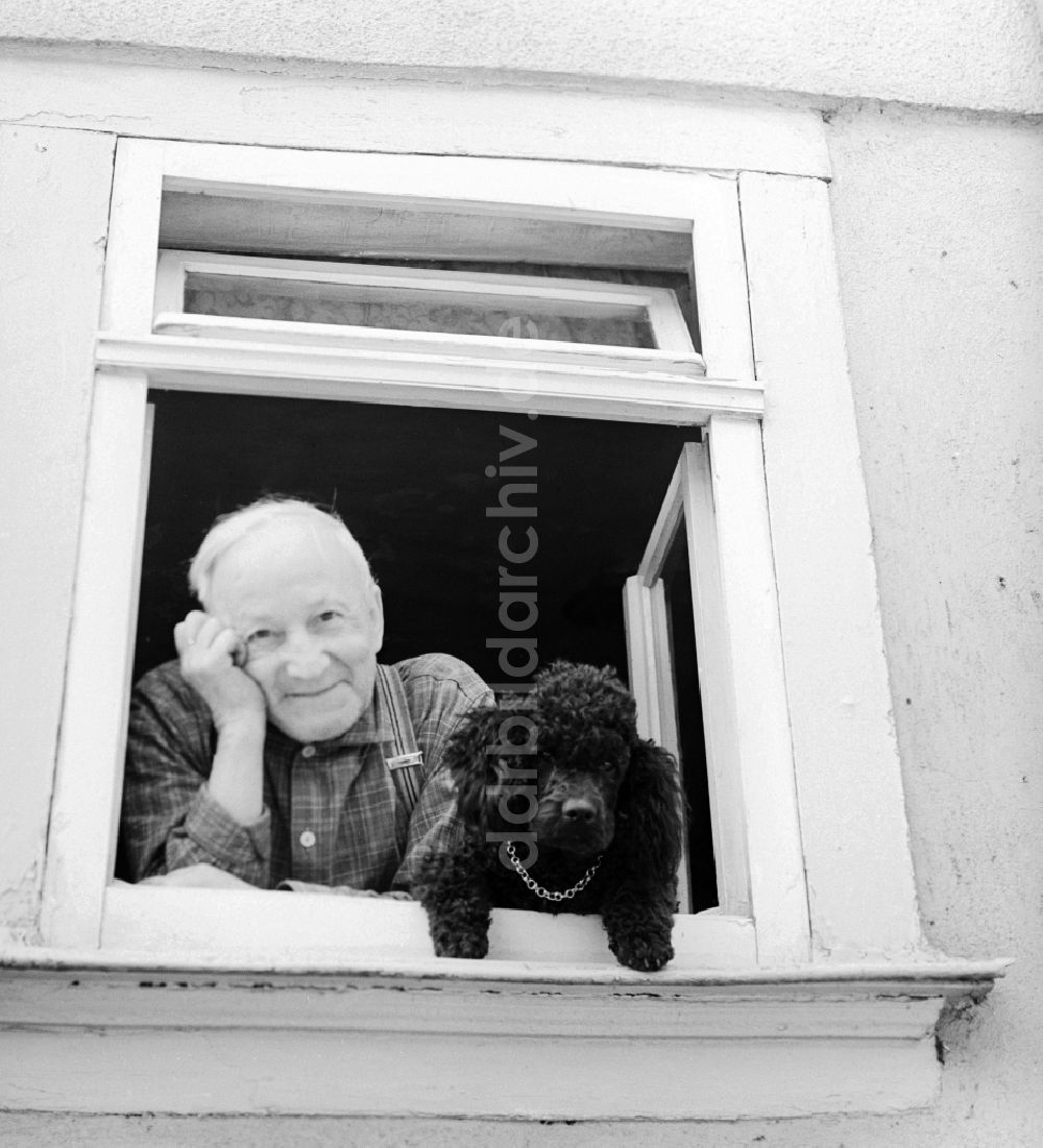 DDR-Bildarchiv: Eisenach - Älterer Mann mit Hund schaut aus dem Fenster in Eisenach in Thüringen in der DDR