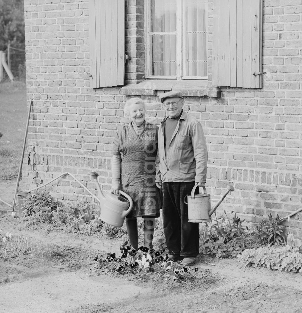 DDR-Bildarchiv: Pasewalk - Älteres Ehepaar mit Gießkanne in ihrem Garten in Pasewalk im heutigen Bundesland Mecklenburg-Vorpommern