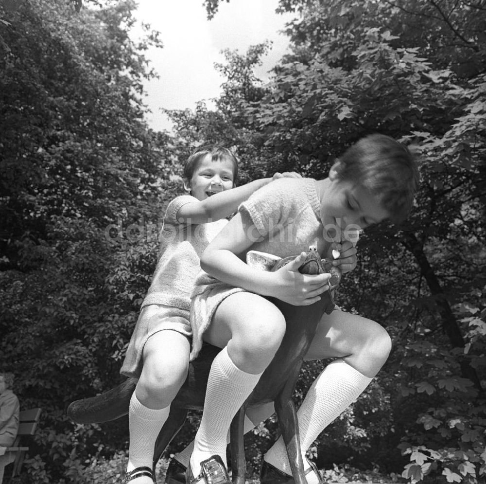 DDR-Bildarchiv: Berlin - Mädchen klettern auf Plastik im Tierpark Berlin