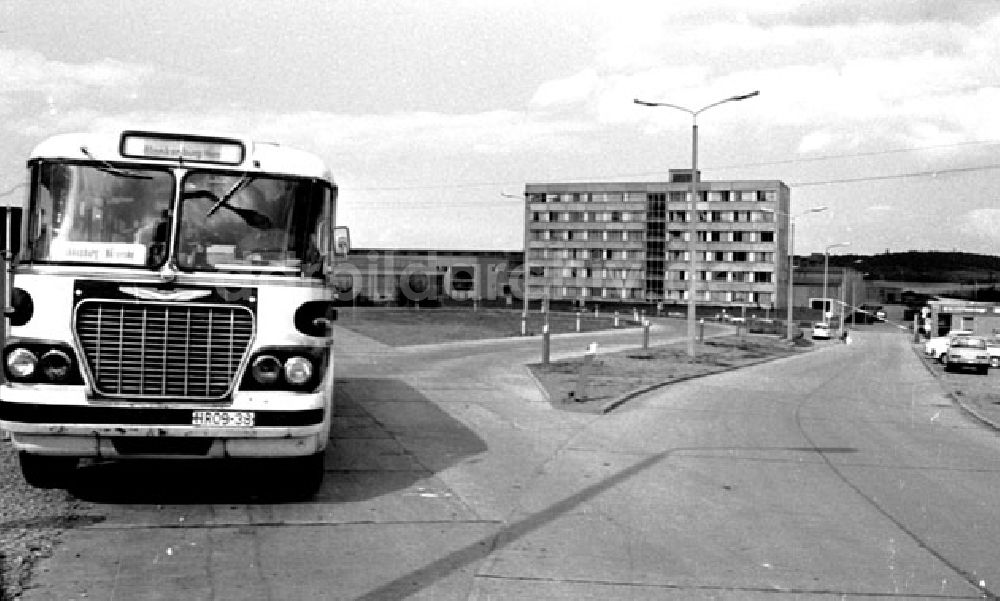 DDR-Bildarchiv: Quedlinburg - Mai 1973 Quedlinburg Städtebild.