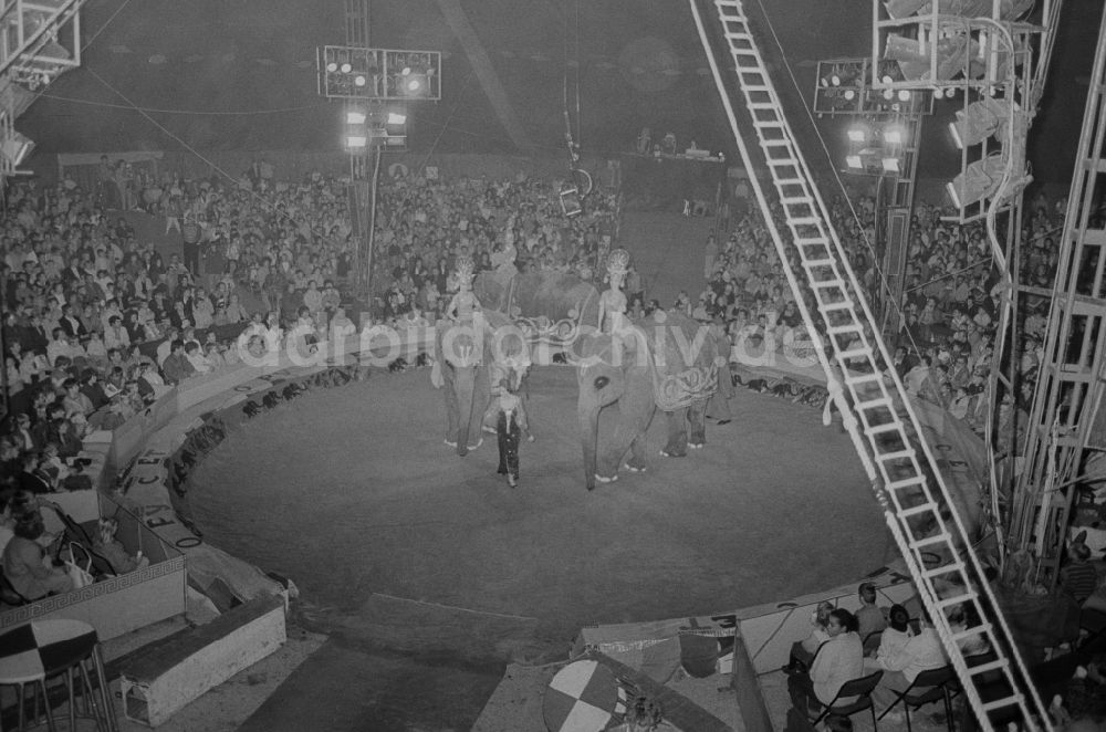 Berlin: Manege eines Zirkus in Berlin, der ehemaligen Hauptstadt der DDR, Deutsche Demokratische Republik