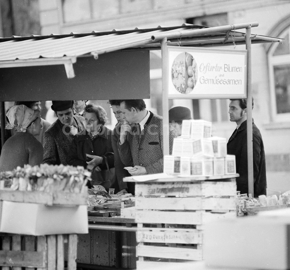 DDR-Fotoarchiv: Arnstadt - Marktstand mit Blumensamen und Blumenzwiebel auf dem Wochenmarkt in Arnstadt in Thüringen in der DDR