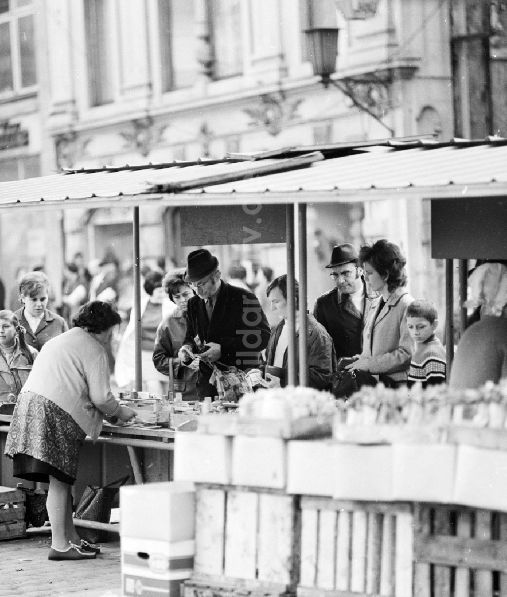 Arnstadt: Marktstand mit Blumensamen und Blumenzwiebel auf dem Wochenmarkt in Arnstadt in Thüringen in der DDR