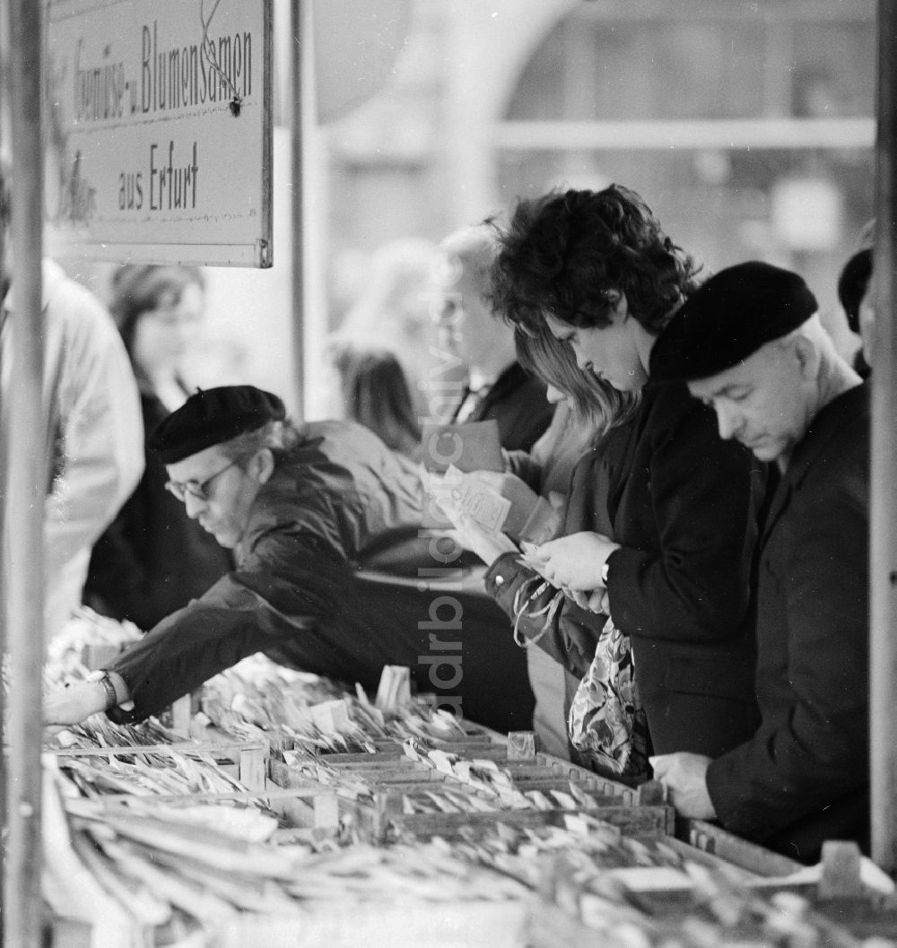 DDR-Bildarchiv: Arnstadt - Marktstand mit Blumensamen und Blumenzwiebel auf dem Wochenmarkt in Arnstadt in Thüringen in der DDR