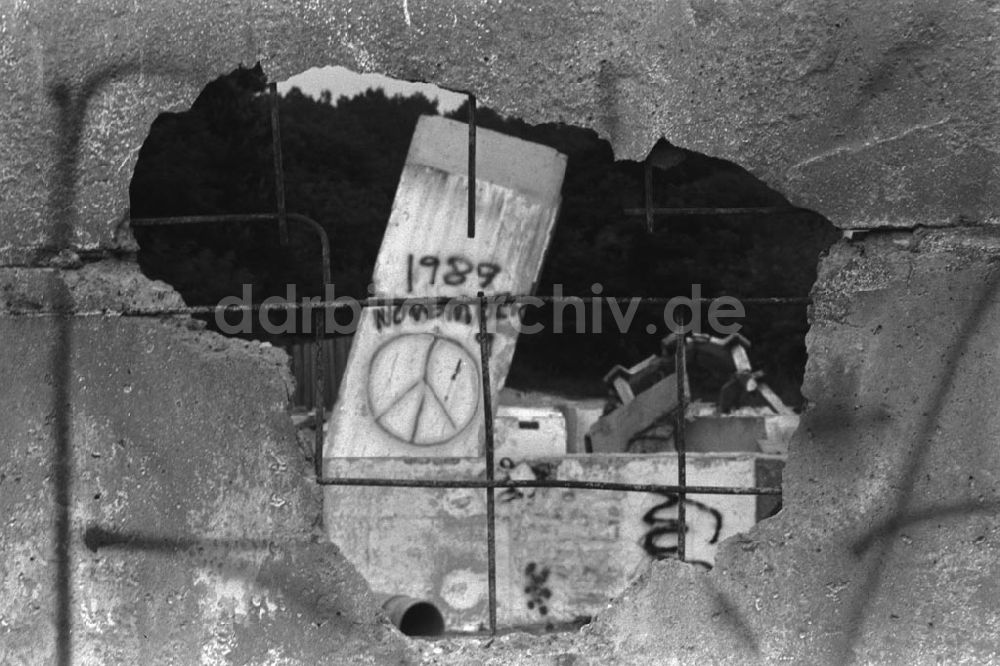 DDR-Bildarchiv: Berlin-MitteBerlin-Tiergarten - Mauerspechte bei der Arbeit (Brandenburger Tor-Reichstag)Januar1990Foto: Grahn