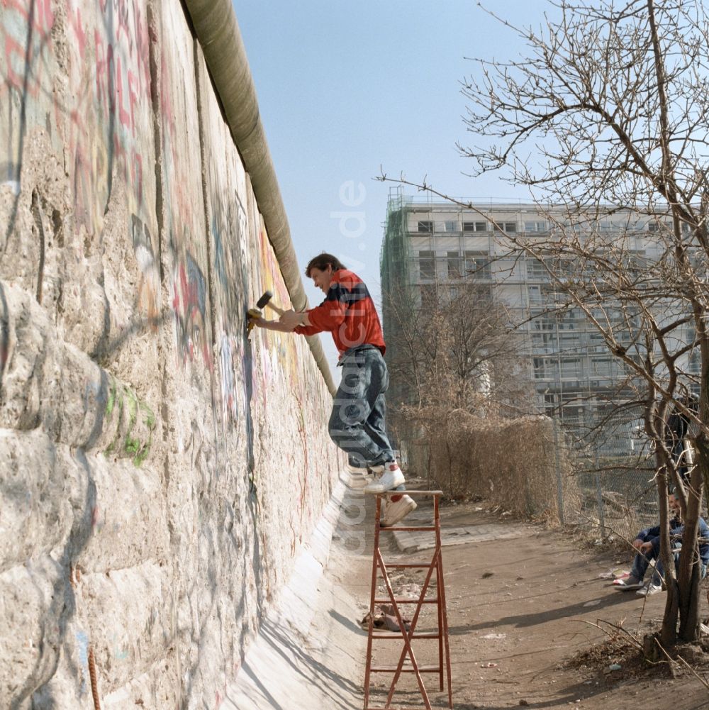 DDR-Fotoarchiv: Berlin - Mauerspechte und Souveniersammler an der Berliner Mauer in Berlin