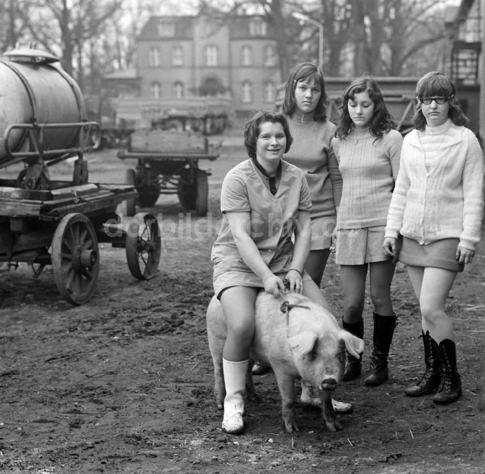 DDR-Bildarchiv: Spremberg - Mädchen mit einem Schwein