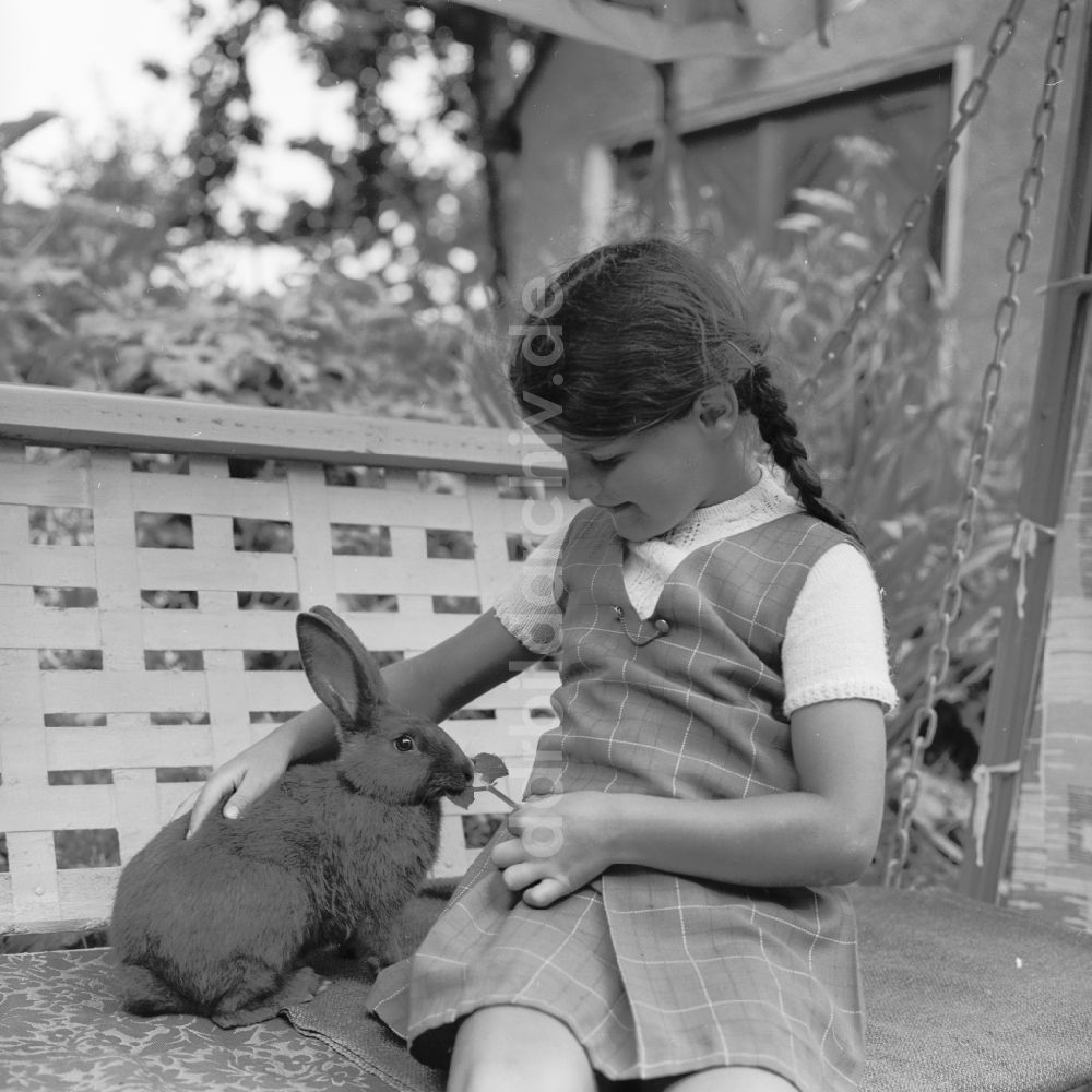 DDR-Bildarchiv: Scheibenberg - Mädchen sitzt mit einem Kaninchen auf einer Gartenschaukel in Scheibenberg in Sachsen in der DDR
