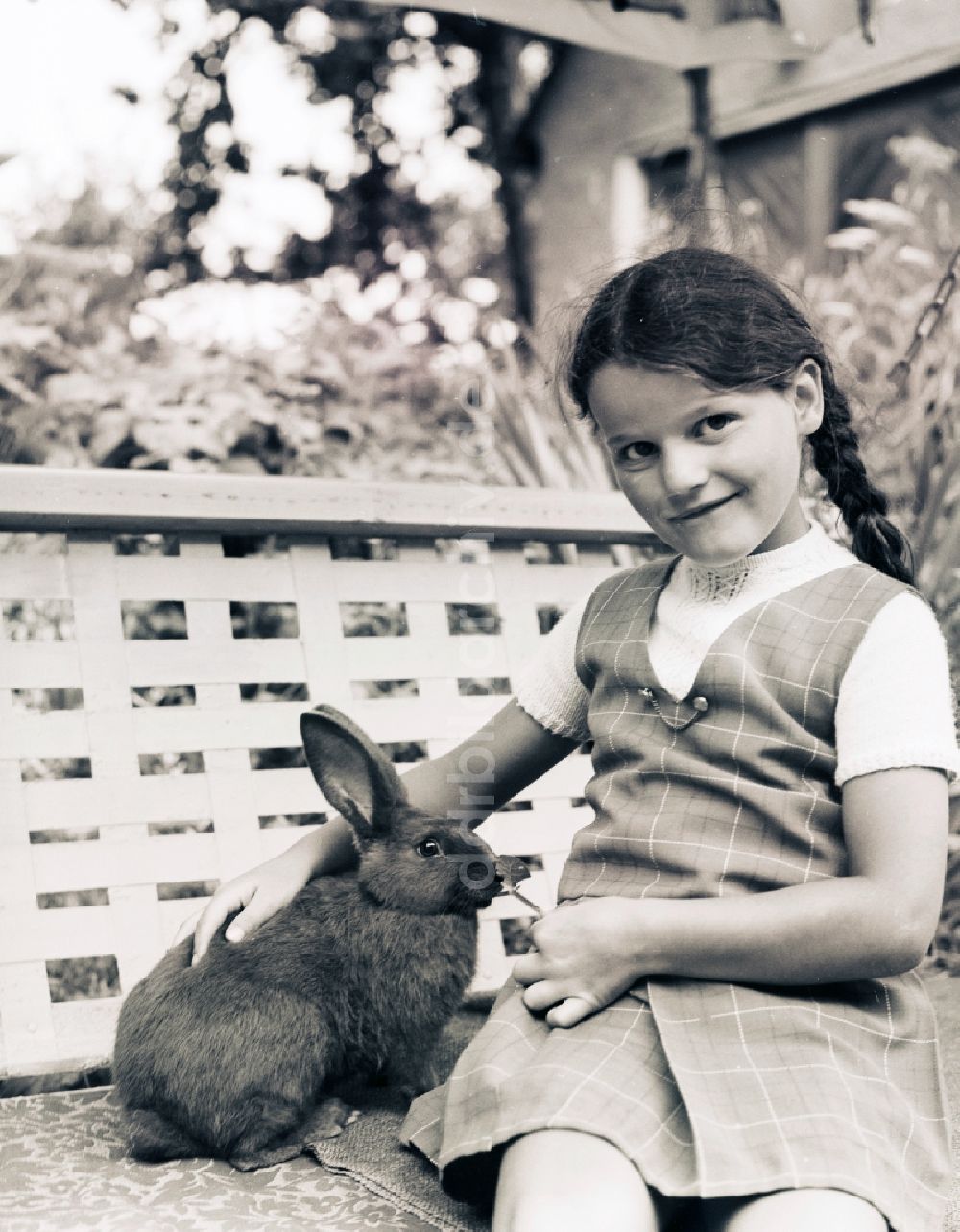 DDR-Fotoarchiv: Scheibenberg - Mädchen sitzt mit einem Kaninchen auf einer Gartenschaukel in Scheibenberg in Sachsen in der DDR