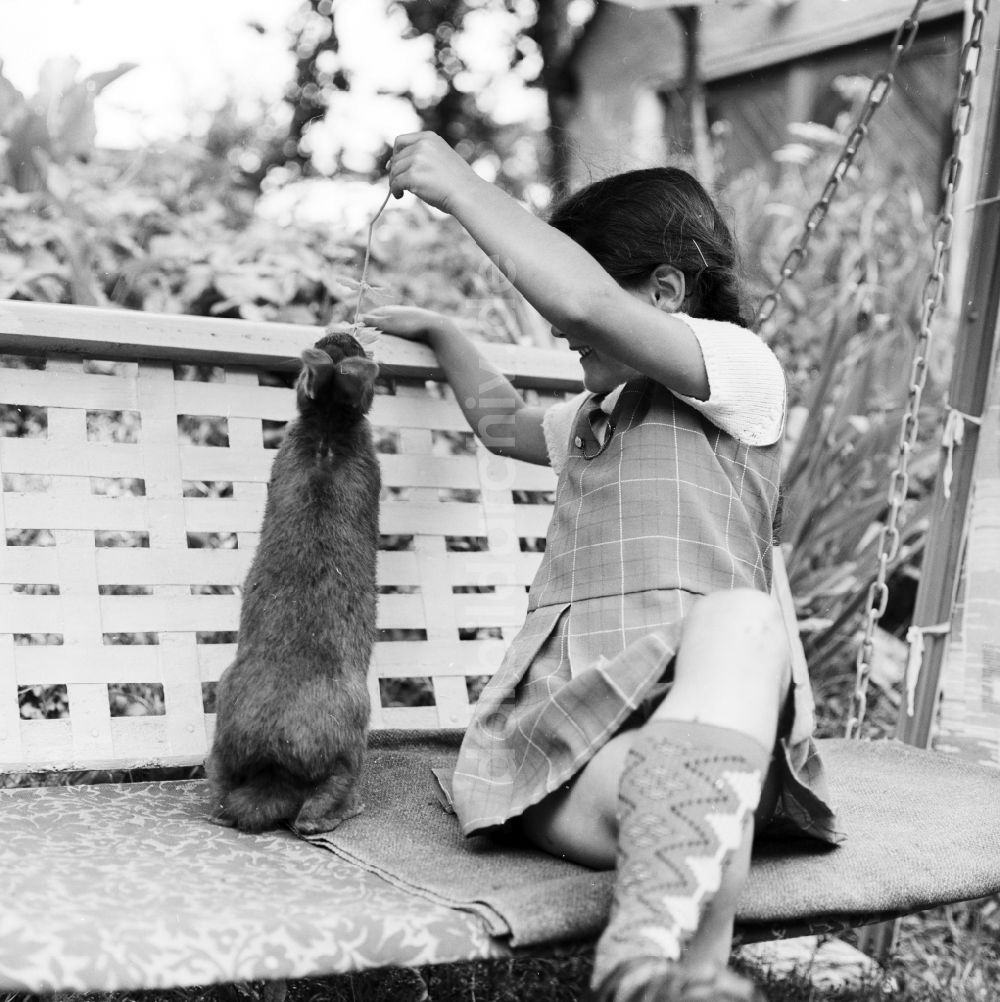 DDR-Bildarchiv: Scheibenberg - Mädchen sitzt mit einem Kaninchen auf einer Gartenschaukel in Scheibenberg in Sachsen in der DDR