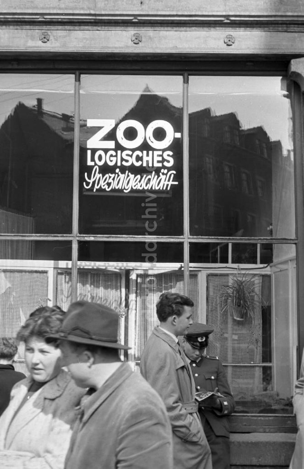 DDR-Fotoarchiv: Meißen - Meißen - Zoologisches Spezialgeschäft 1960