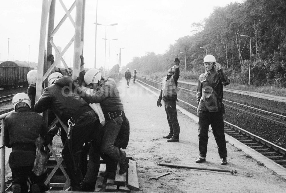 DDR-Fotoarchiv: Seddiner See - Mitarbeiter der Deutschen Reichsbahn montieren einen Fahrleitungsmasten am Bahnhof Seddin in Seddiner See in Brandenburg in der DDR