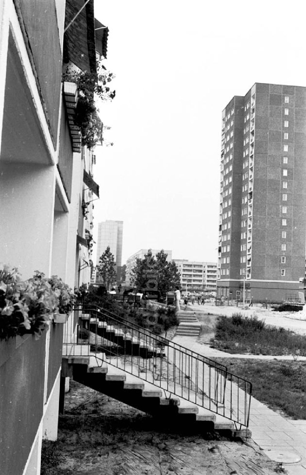 Potsdam: 01.08.1986 Neubaugebiet Schlaatz in Potsdam.