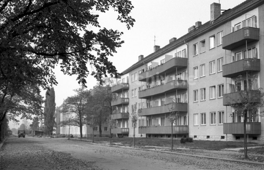 DDR-Fotoarchiv: Dresden - Neubauten an der Comeniusstraße im Stadtteil Striesen in Dresden in Sachsen in der DDR