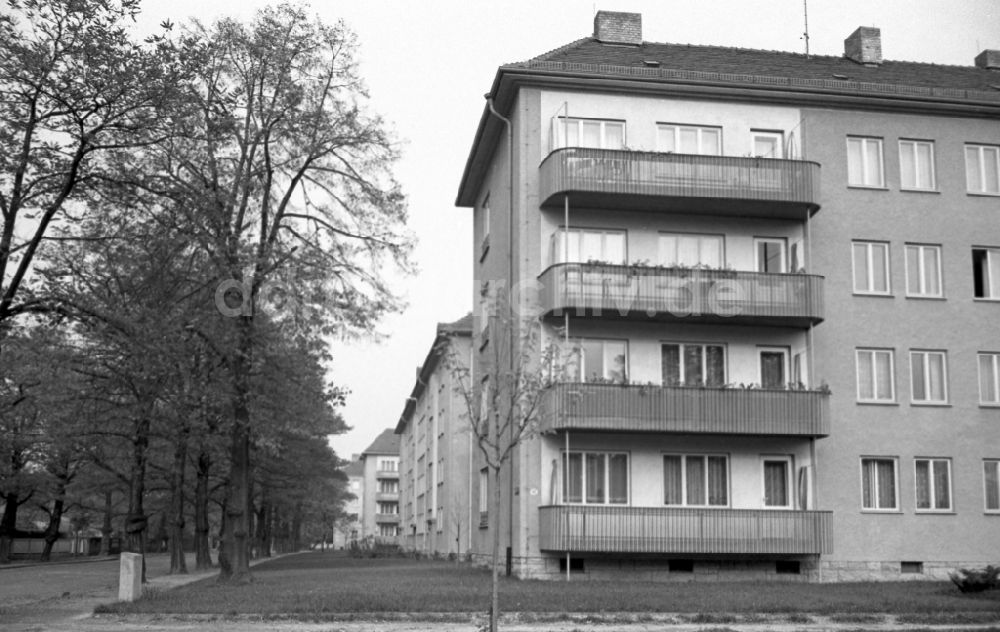 Dresden: Neubauten an der Comeniusstraße im Stadtteil Striesen in Dresden in Sachsen in der DDR