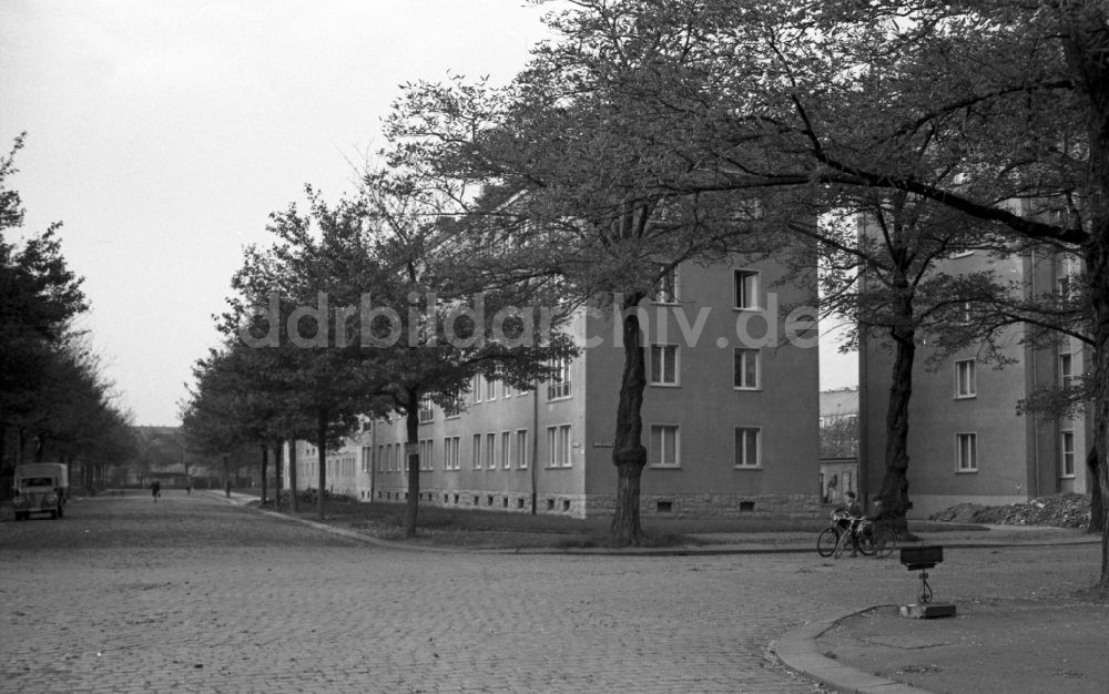 Dresden: Neubauten an der Heubnerstraße im Stadtteil Striesen in Dresden in Sachsen in der DDR