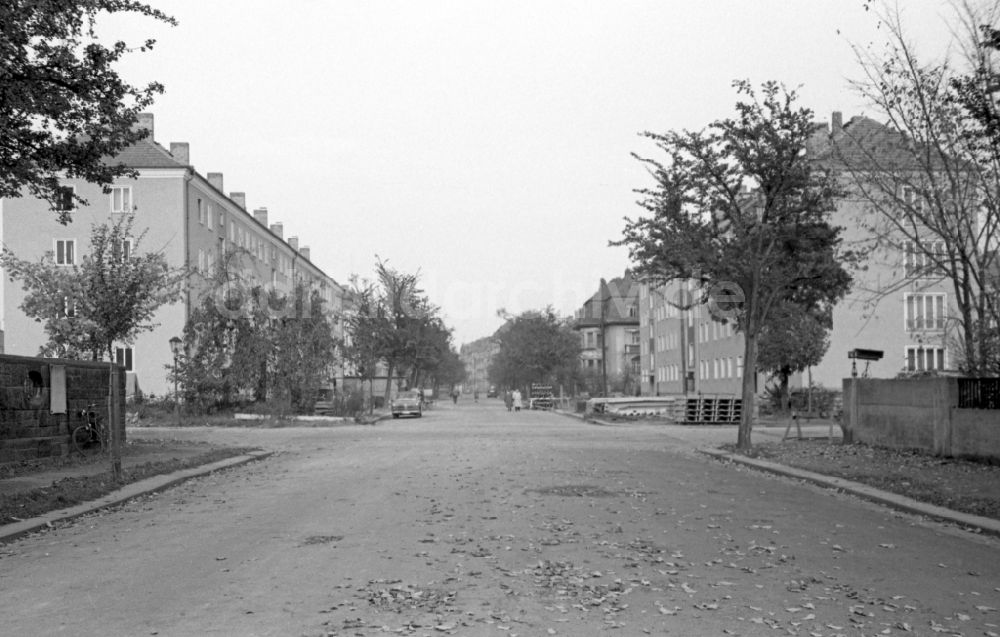 DDR-Fotoarchiv: Dresden - Neubauten an der Lipsiusstraße im Stadtteil Striesen in Dresden in Sachsen in der DDR