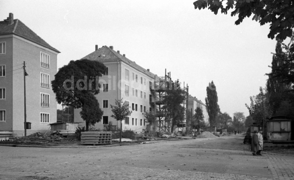 DDR-Fotoarchiv: Dresden - Neubauten an der Lipsiusstraße im Stadtteil Striesen in Dresden in Sachsen in der DDR