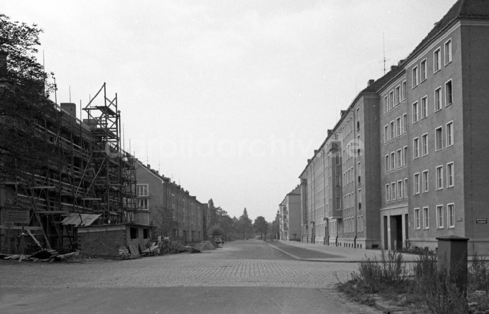 Dresden: Neubauten an der Mansfelderstraße im Stadtteil Striesen in Dresden in Sachsen in der DDR