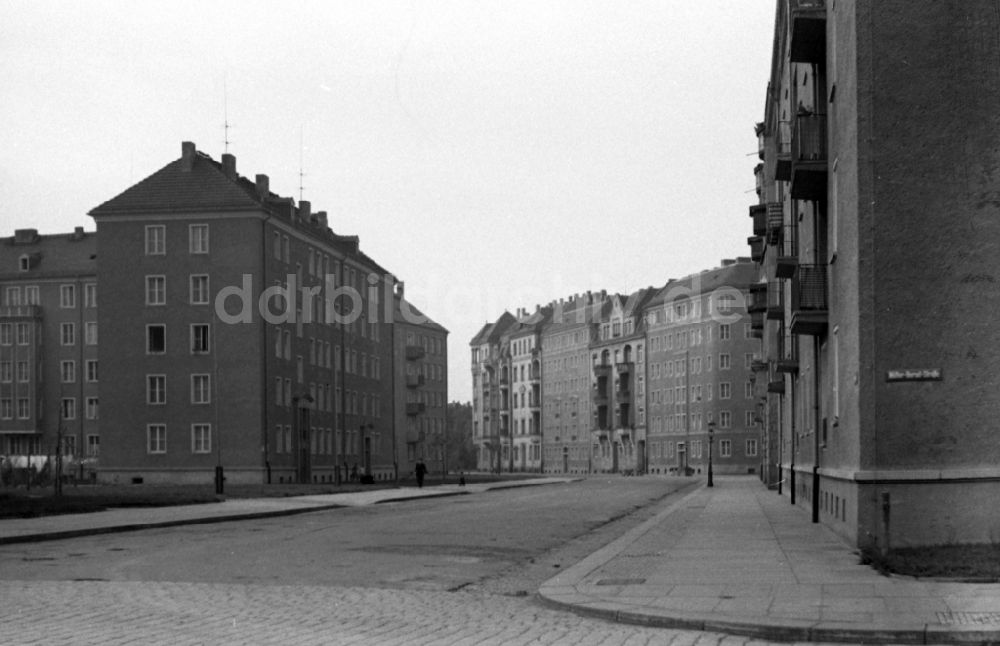DDR-Bildarchiv: Dresden - Neubauten an der Müller-Berset-Straße im Stadtteil Striesen in Dresden in Sachsen in der DDR
