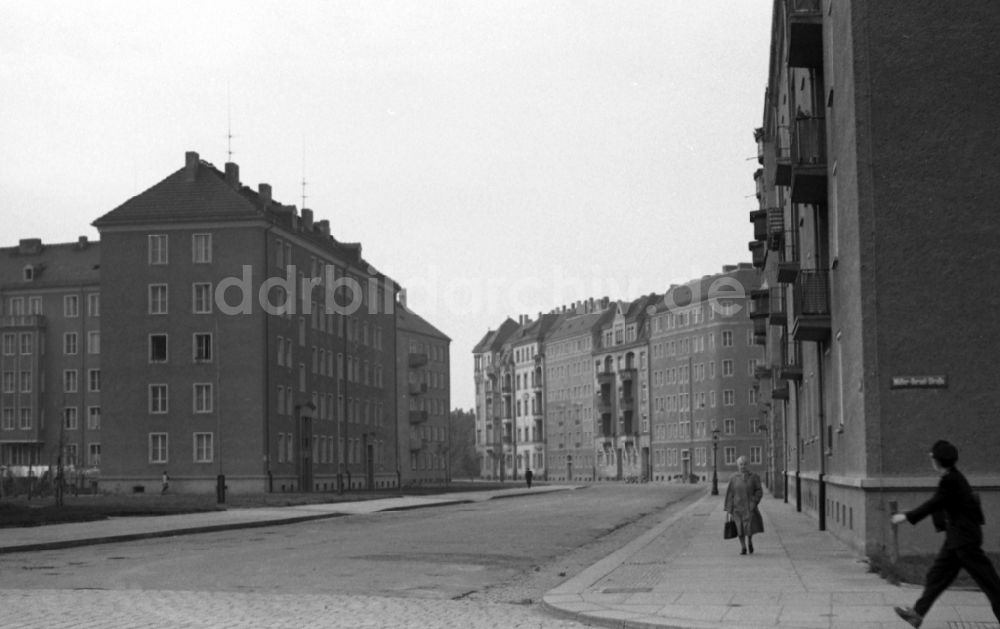 DDR-Fotoarchiv: Dresden - Neubauten an der Müller-Berset-Straße im Stadtteil Striesen in Dresden in Sachsen in der DDR