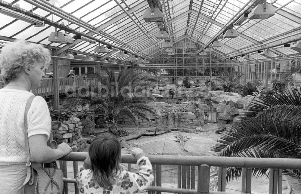 DDR-Fotoarchiv: Berlin - Neue Krokodilhaus im Tierpark in Berlin-Friedrichsfelde