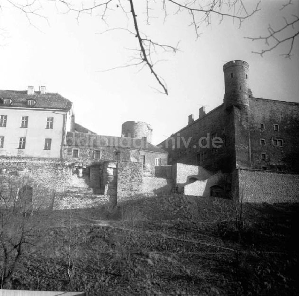 Tallinn / Estland: November 1966 Tallinn: Blick auf den Domberg mit dem Langen Hermann Foto: Schönfeld