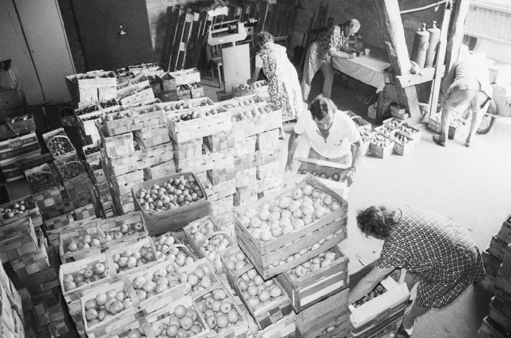 Berlin: Obst- und Gemüseankauf im Stadtbezikr Marzahn in Berlin, der ehemaligen Hauptstadt der DDR, Deutsche Demokratische Republik