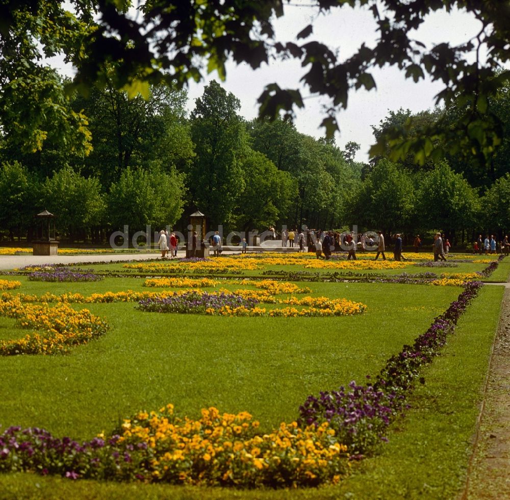 DDR-Bildarchiv: Berlin - Parkanlage im Tierpark Berlin in Berlin, der ehemaligen Hauptstadt der DDR, Deutsche Demokratische Republik