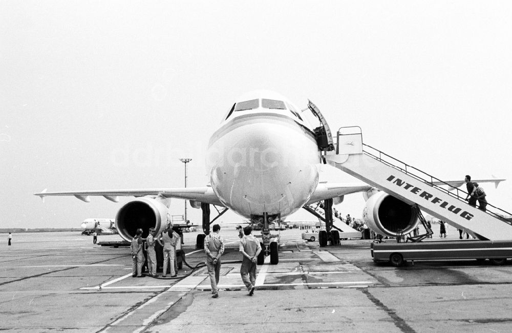 DDR-Fotoarchiv: Schönefeld - Passagierflugzeug Airbus A310 der INTERFLUG auf dem Flughafen in Schönefeld in Brandenburg in der DDR