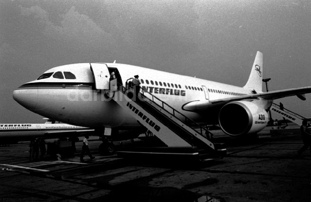 Schönefeld: Passagierflugzeug Airbus A310 der INTERFLUG auf dem Flughafen in Schönefeld in Brandenburg in der DDR
