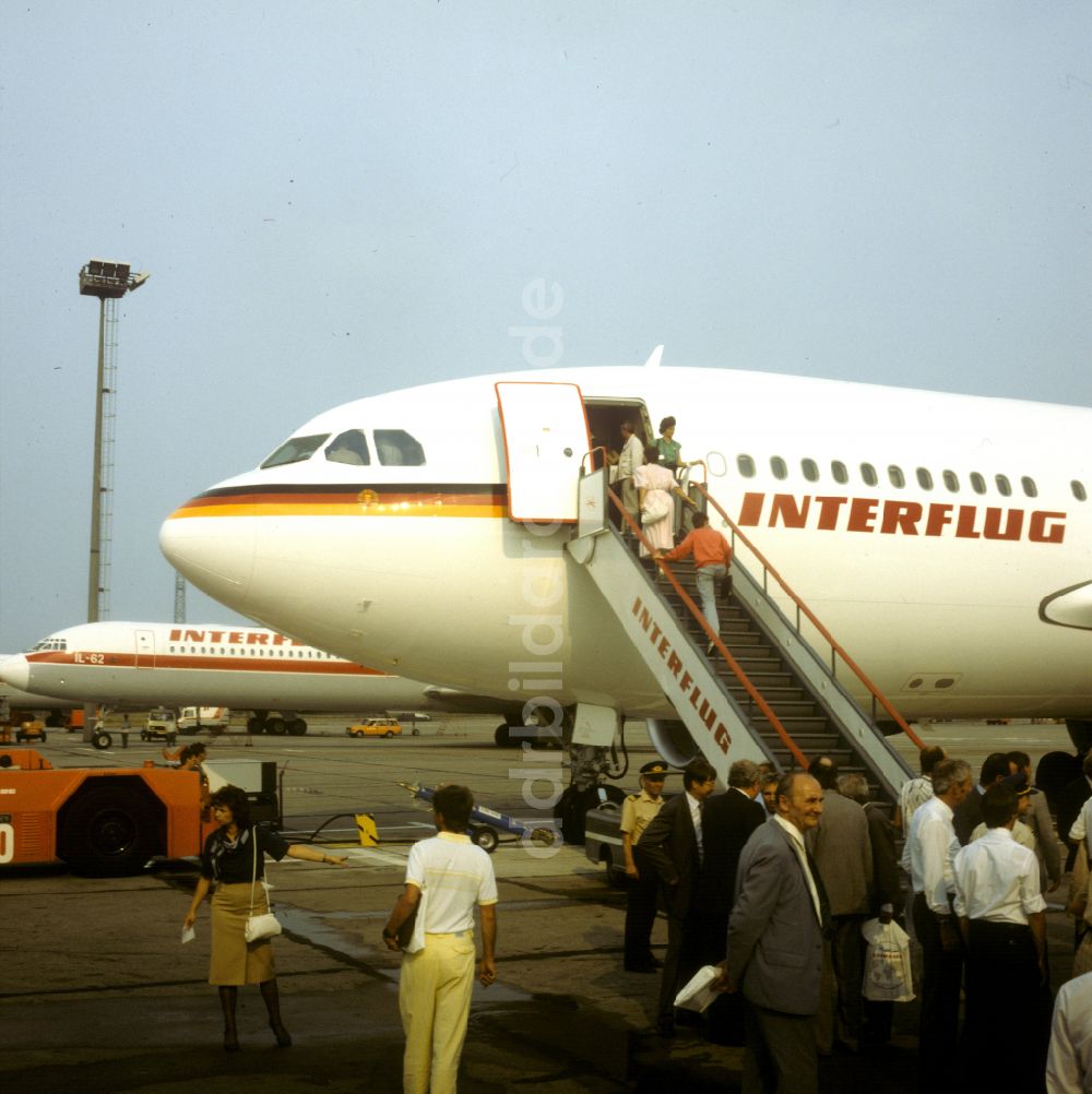 Schönefeld: Passagierflugzeug Airbus A310 der INTERFLUG auf dem Flughafen in Schönefeld in Brandenburg in der DDR