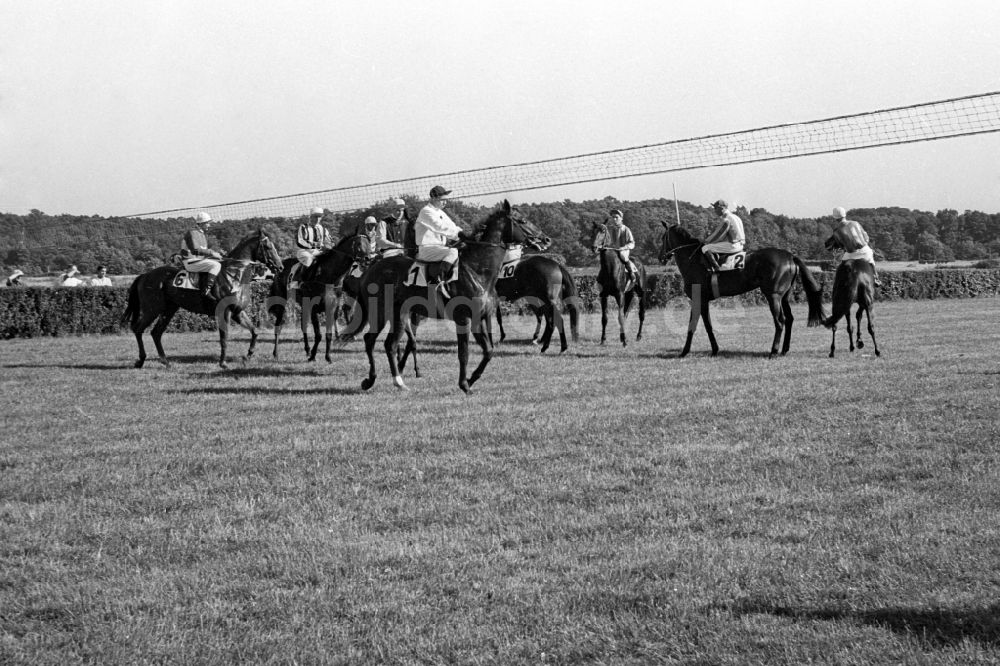 DDR-Fotoarchiv: Hoppegarten - Pferde und Jockeys vor dem Start zu einem Galopprennen in Hoppegarten in der DDR, Deutsche Demokratische Republik