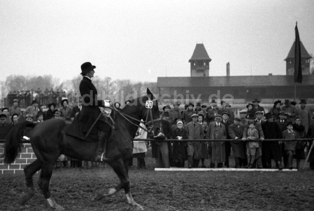 DDR-Fotoarchiv: Leipzig - Pferde und Reiter auf der Galopprennbahn in Leipzig in Sachsen in der DDR