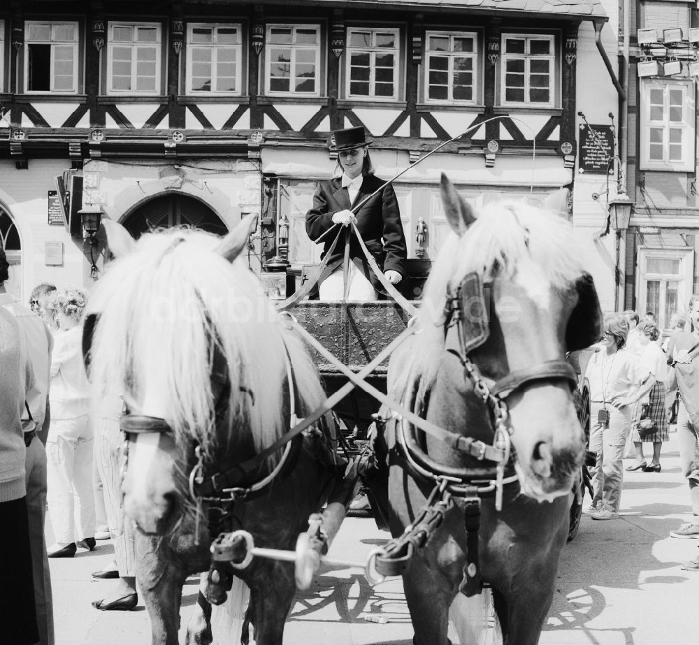 DDR-Fotoarchiv: Wernigerode - Pferdekutsche am Marktplatz in Wernigerode in Sachsen-Anhalt in der DDR