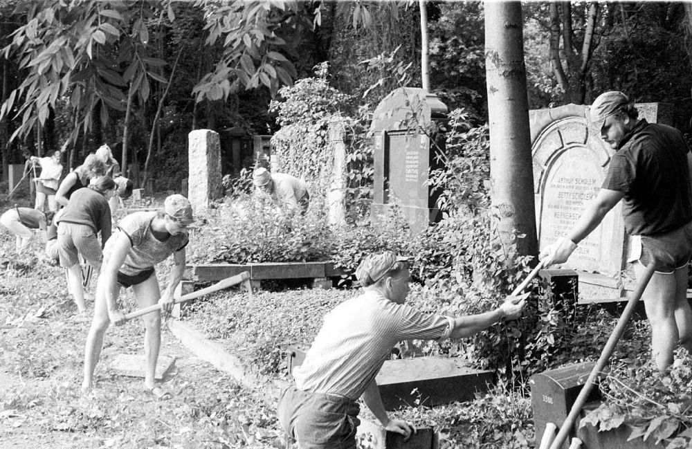 Berlin: Pflegearbeiten uaf jüdischen Friedhof Berlin-Weißensee im Rahmen des FDJ-Studentensommers 24.07.1989