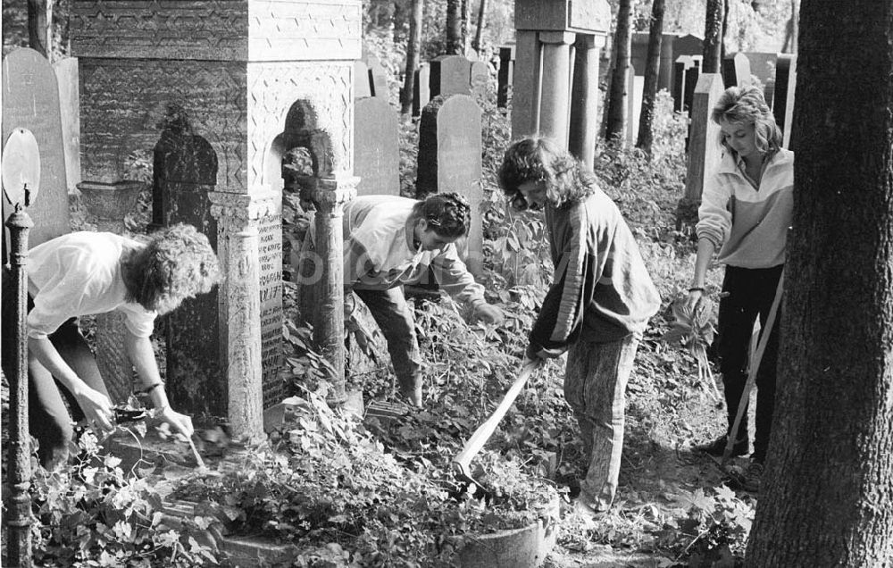 DDR-Bildarchiv: Berlin - Pflegearbeiten uaf jüdischen Friedhof Berlin-Weißensee im Rahmen des FDJ-Studentensommers 24.07.1989