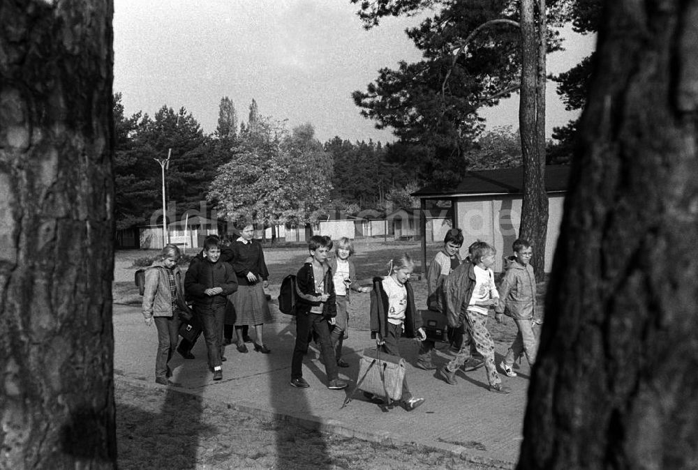 DDR-Fotoarchiv: Bertingen - Pionierlager Friedrich Engels in Bertingen (Kreis Tangermünde)