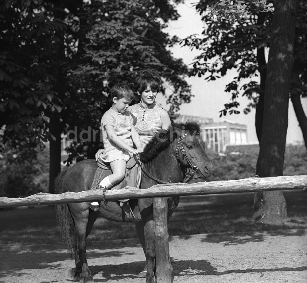 DDR-Bildarchiv: Berlin - Pony reiten im Streichelzoo des Tierpark Berlin