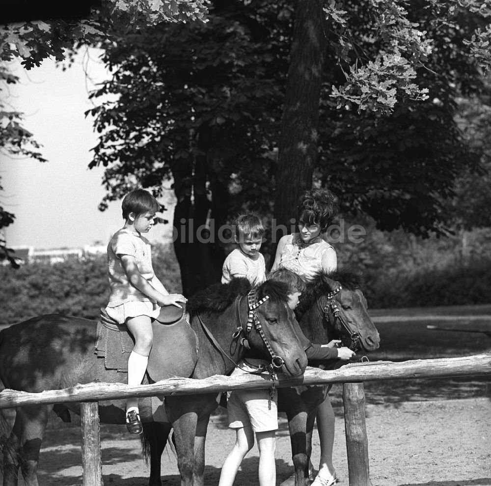 DDR-Fotoarchiv: Berlin - Pony reiten im Streichelzoo des Tierpark Berlin