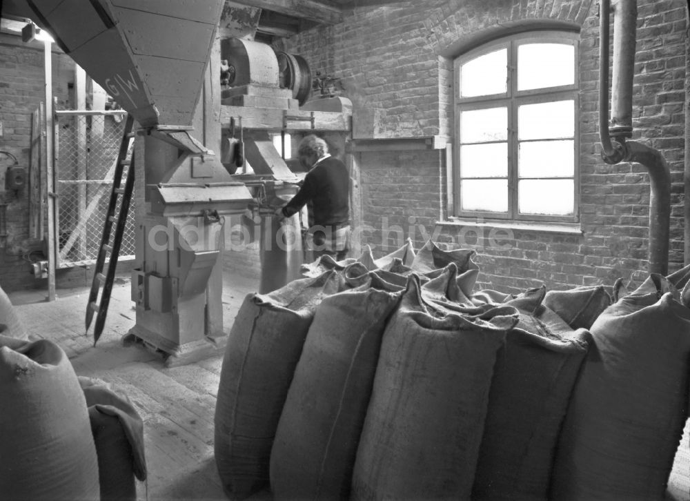 Berlin: Produktionsstrecke des Getränkeherstellers WBB Willner Brauerei in Berlin in der DDR