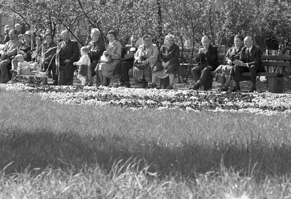 DDR-Fotoarchiv: Magdeburg - Rentner auf einer Parkbank im Stadtpark von Magdeburg