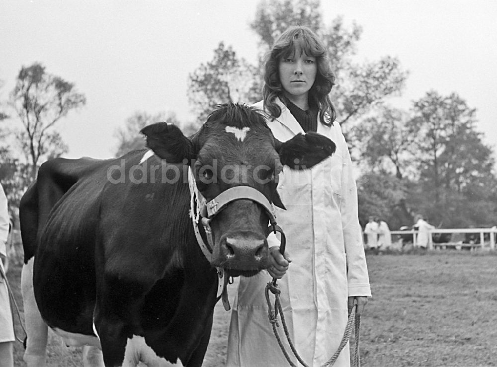 DDR-Fotoarchiv: Paaren - Rinderzuchtausstellung bei einem Dorffest in Paaren in der DDR
