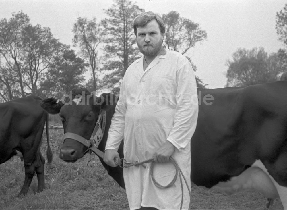 DDR-Bildarchiv: Paaren - Rinderzuchtausstellung bei einem Dorffest in Paaren in der DDR
