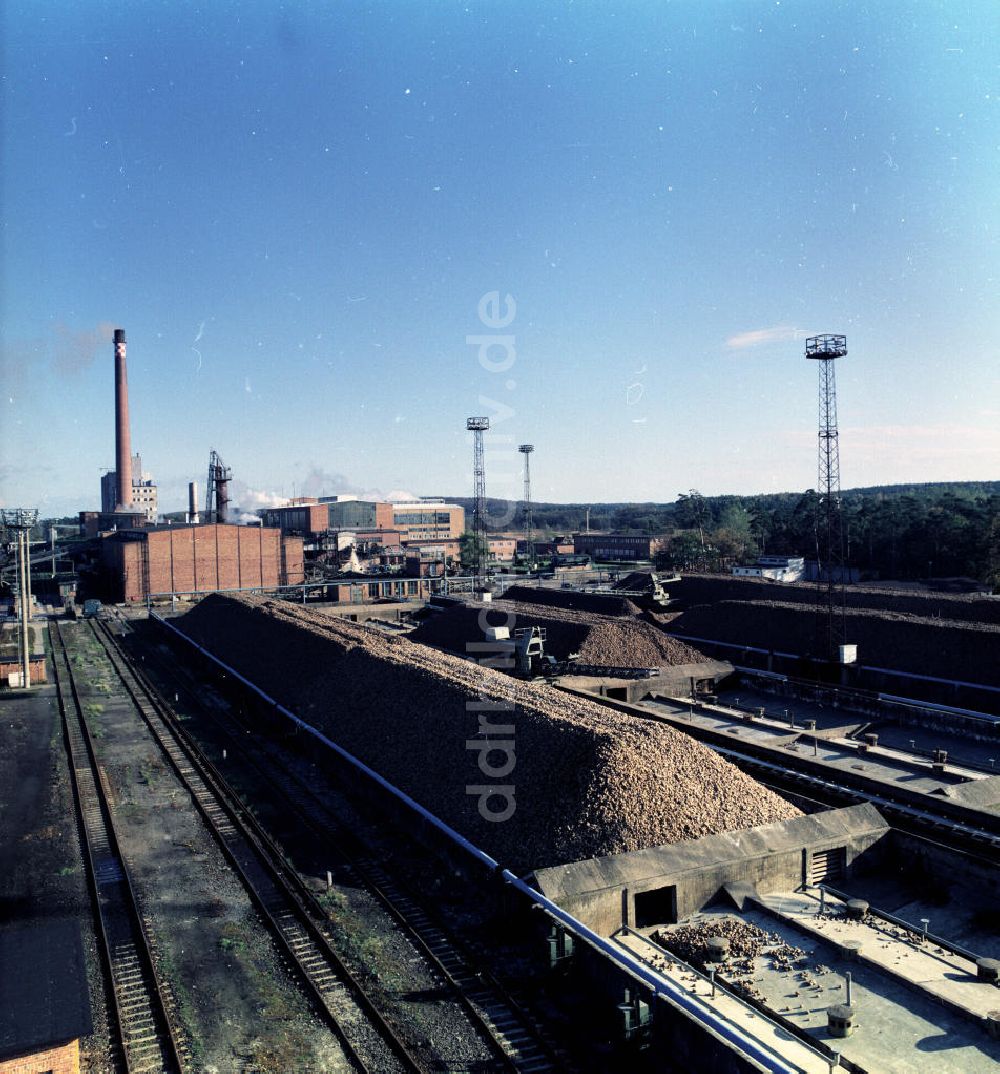DDR-Bildarchiv: Güstrow - Rüben-Lagerung im Hof der VEB Zuckerrübenfabrik Güstrow