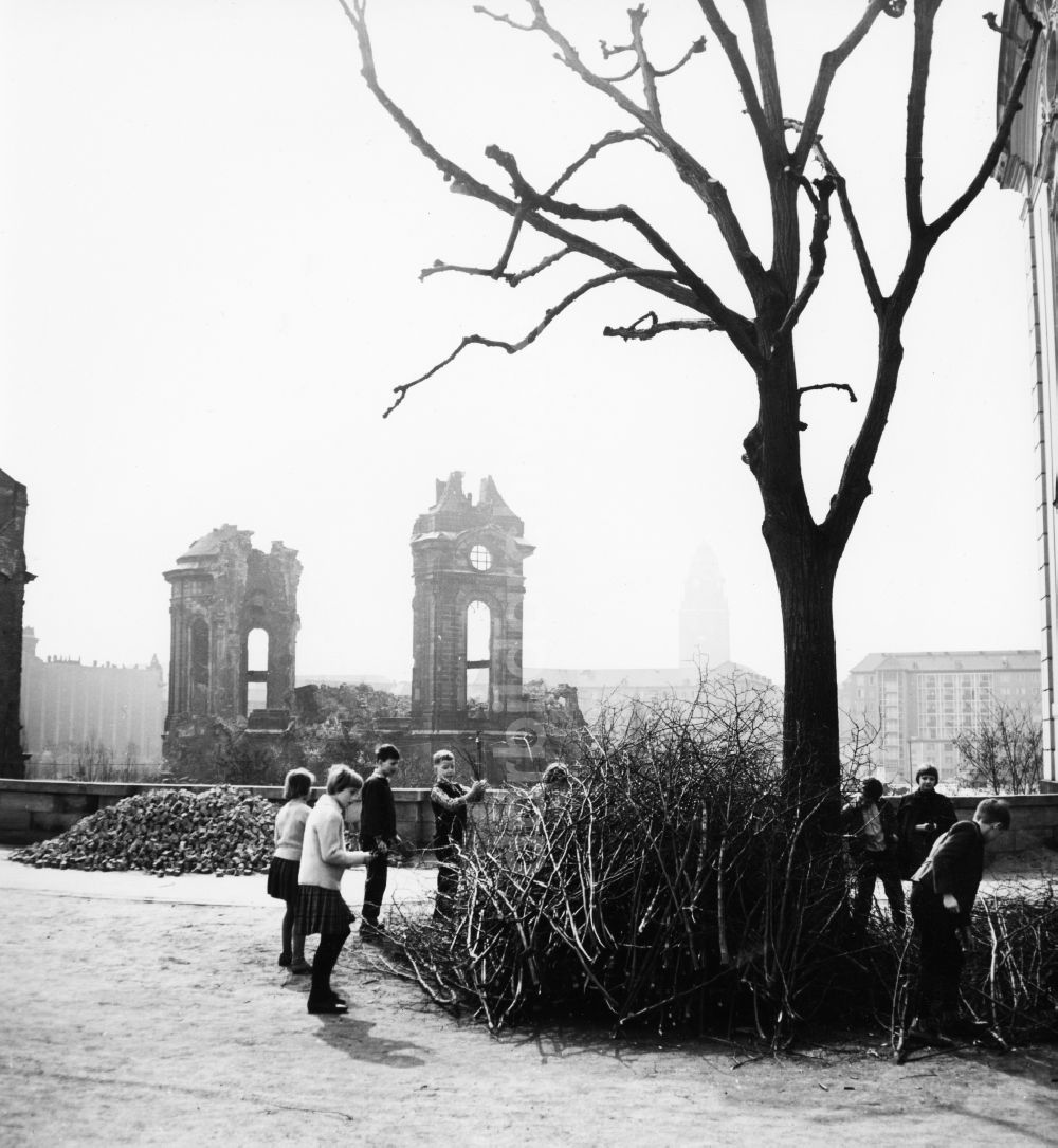 DDR-Fotoarchiv: Dresden - Ruine der Frauenkirche in Dresden in Sachsen