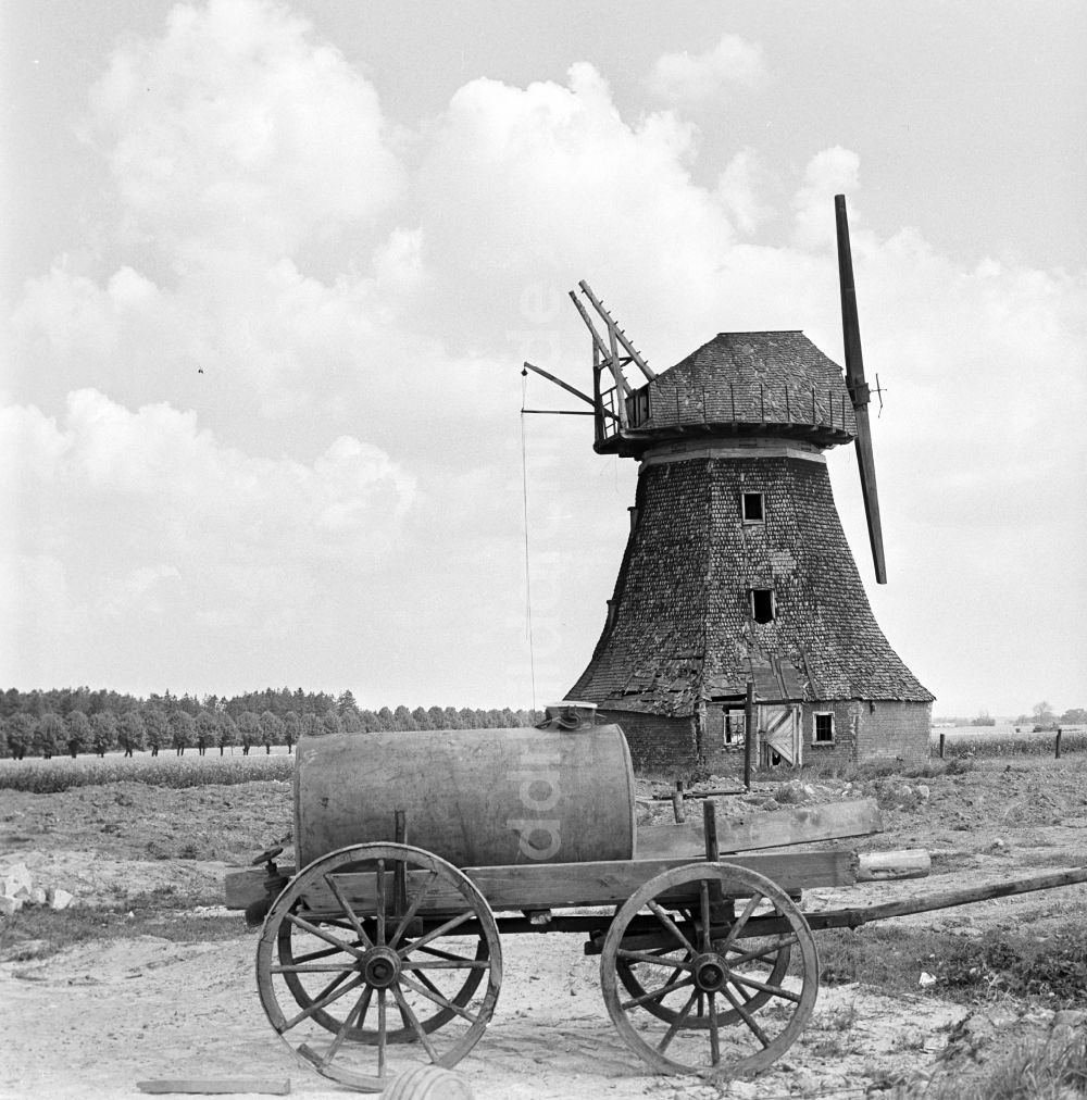 Warnemünde: Ruine der Windmühle in Dummerstorf in Mecklenburg - Vorpommern 