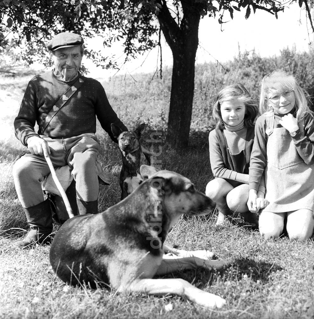 Lenzen (Elbe): Schäfer mit seinen zwei Enkeln in Lenzen (Elbe) im Bundesland Brandenburg auf dem Gebiet der ehemaligen DDR, Deutsche Demokratische Republik