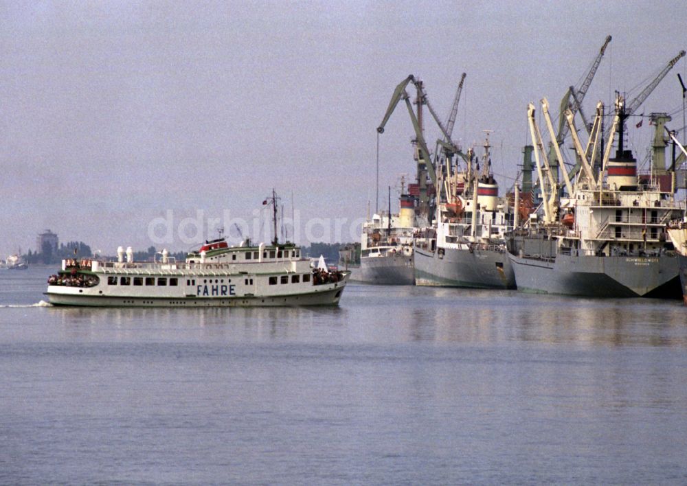 DDR-Bildarchiv: Rostock - Schiffe der DSR im Überseehafen in Rostock in Mecklenburg-Vorpommern in der DDR