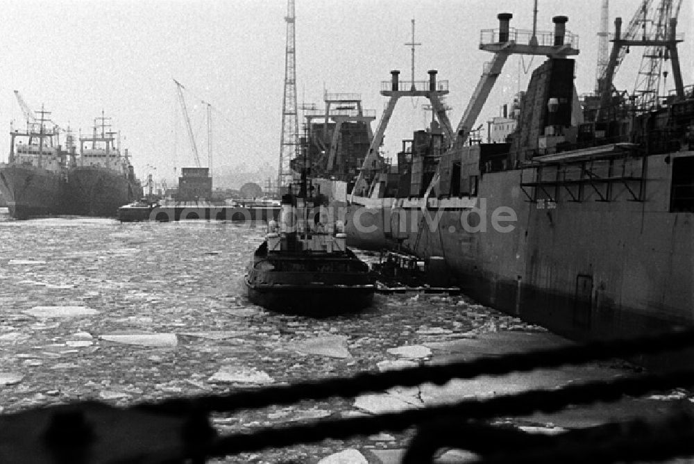 DDR-Bildarchiv: Stralsund - Schiffe im Hafen von Stralsund